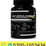 Magnum Xt Price in Pakistan